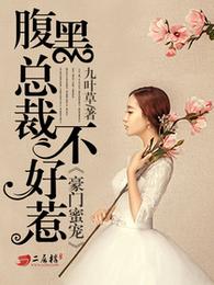 豪门蜜宠：腹黑总裁不好惹 封面