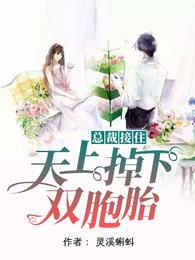 总裁接住,天上掉下双胞胎 封面