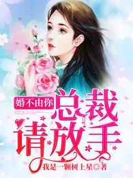 婚不由你：总裁请放手 封面