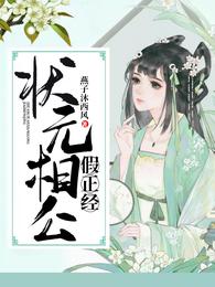 状元相公假正经 封面