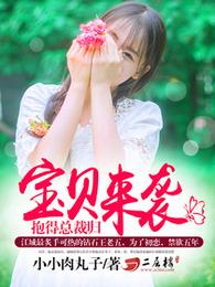 宝贝来袭，抱得总裁归 封面
