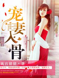 宠妻入骨 封面
