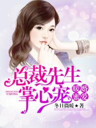 暖婚蜜爱,总裁先生掌心宠 封面