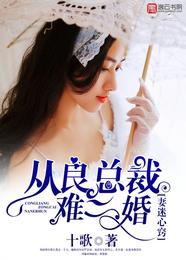 妻迷心窍，从良总裁难二婚 封面