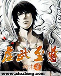 虚武至尊 封面