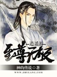 至尊无极逍遥游 封面