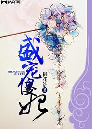 盛宠傻妃 封面