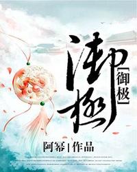 御极 封面