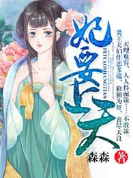 妃要上天 封面