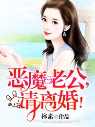 恶魔老公，请离婚！ 封面