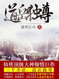 道岳独尊 封面