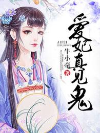 朕的萌妻真见鬼 封面