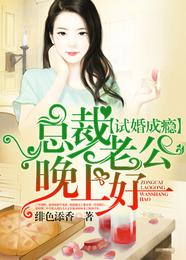 试婚成瘾:总裁老公晚上好 封面