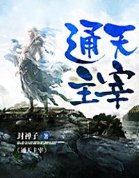 通天主宰 封面