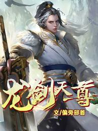 龙剑天尊 封面