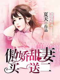 傲娇甜妻买一送二 封面