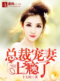 总裁宠妻上瘾了 封面