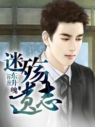 迷殇遗志 封面