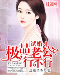 试婚：极品老公行不行 封面
