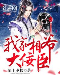 我家相爷大佞臣 封面