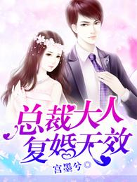 总裁大人复婚无效 封面