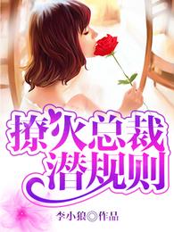撩火总裁别惹我 封面