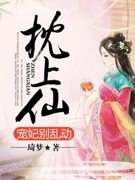 枕上仙,宠妃别乱动 封面