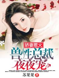 娇妻惹火：霸道总裁狠狠宠 封面