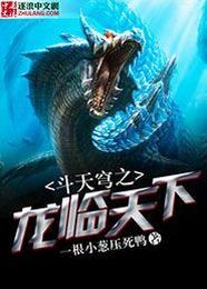 斗天穹之龙临天下 封面