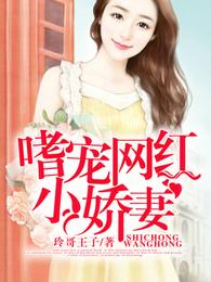 嗜宠网红小娇妻 封面