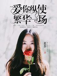 爱你纵使繁华一场 封面