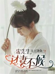宋先生，过妻不候 封面