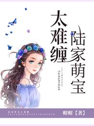 陆家萌宝太难缠 封面