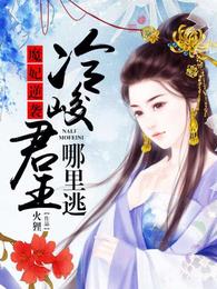 魔妃逆袭:冷峻君王哪里跑 封面