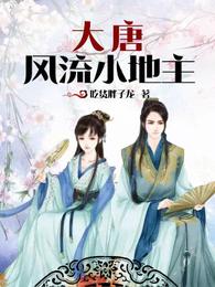 大唐风流小地主 封面