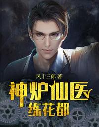 神炉仙医炼花都 封面