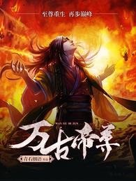 万古帝尊 封面