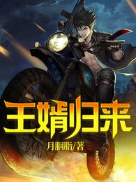 王婿归来 封面