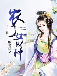 农门女财神 封面