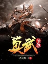 真武圣尊 封面