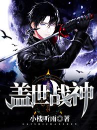 盖世战神 封面