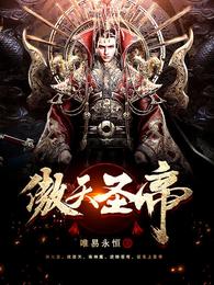 傲天圣帝 封面