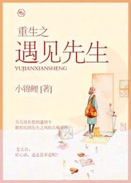 重生之遇见先生 封面