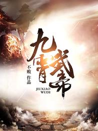 九霄武帝 封面