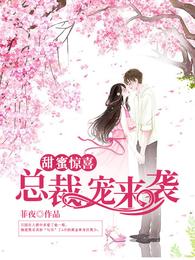 甜蜜惊喜：总裁宠来袭 封面