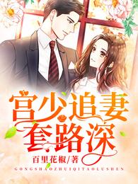 宫少追妻套路深 封面