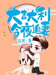大吉大利，今夜追妻 封面