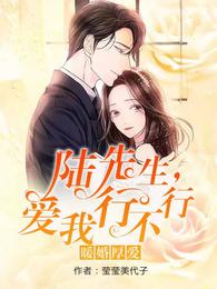 暖婚厚爱：陆先生，爱我行不行 封面