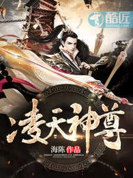 凌天神尊 封面