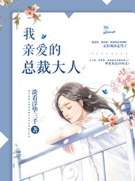 我亲爱的总裁大人 封面